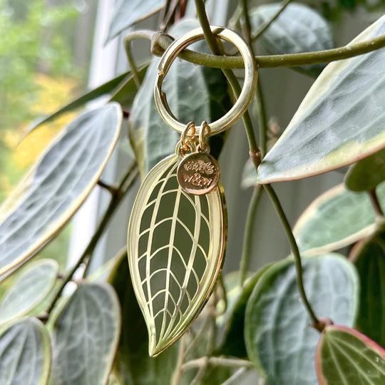 Keychain - Hoya Macrophylla