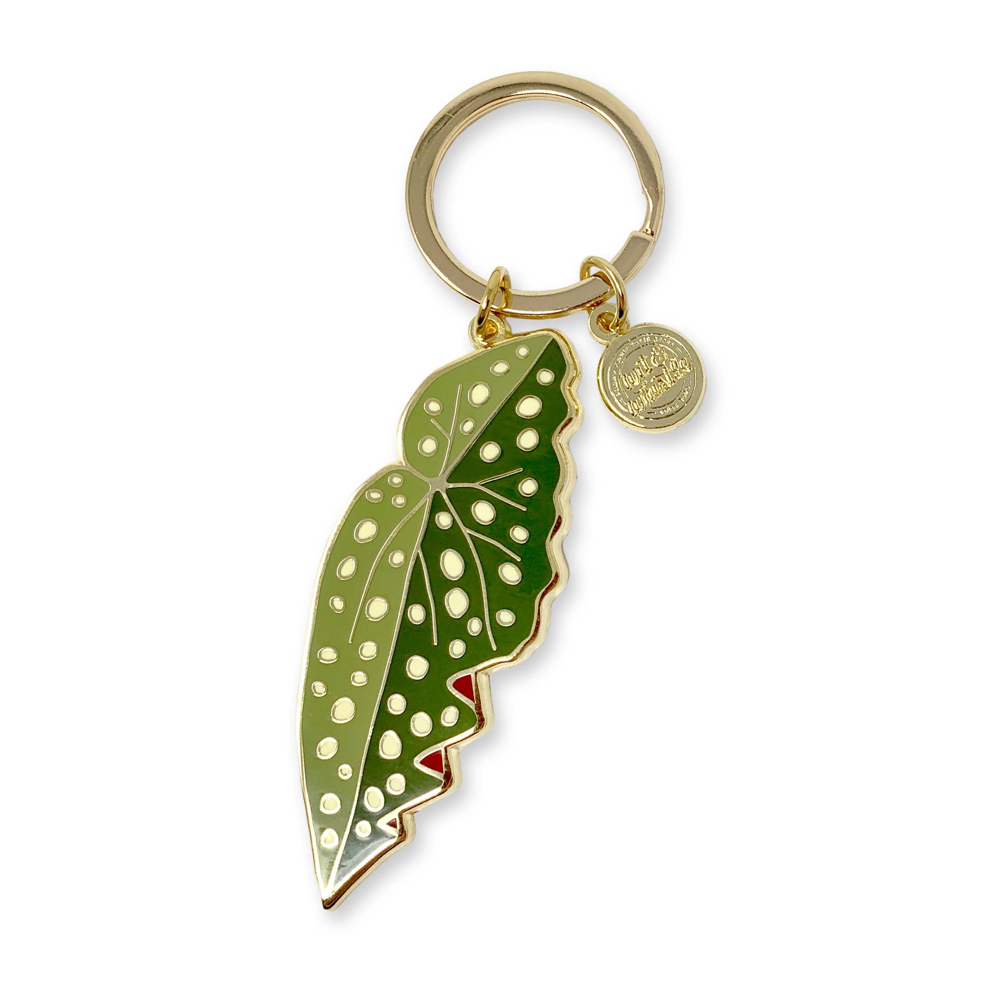 begonia maculata houseplant keychain wit & whistle fig and freya