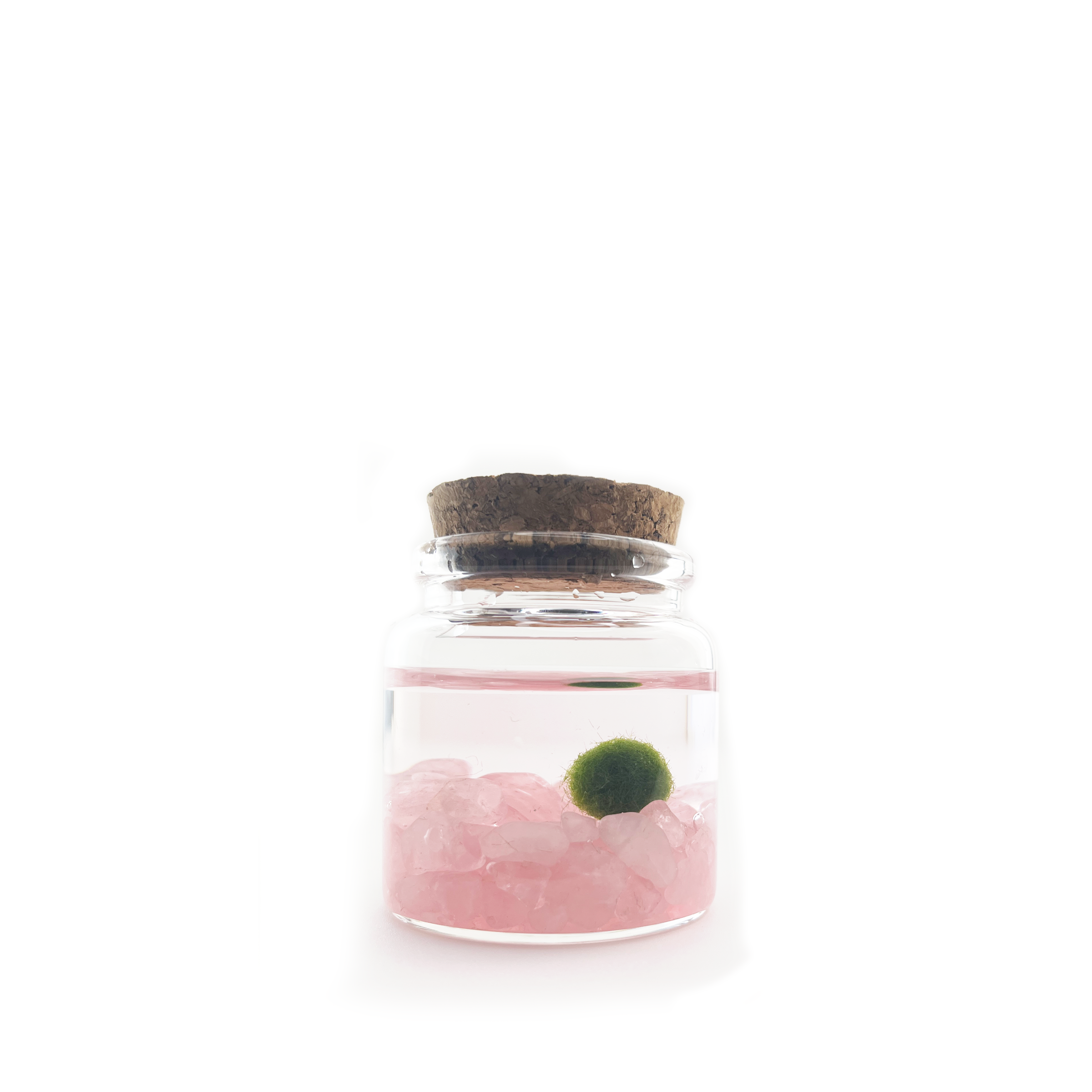 Rose Quartz Moss Rico