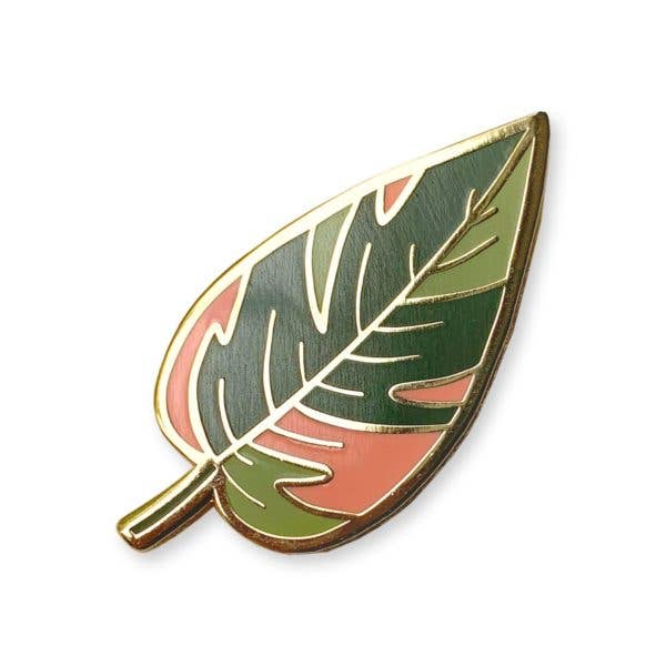 philodendron pink princess pin wit & whistle