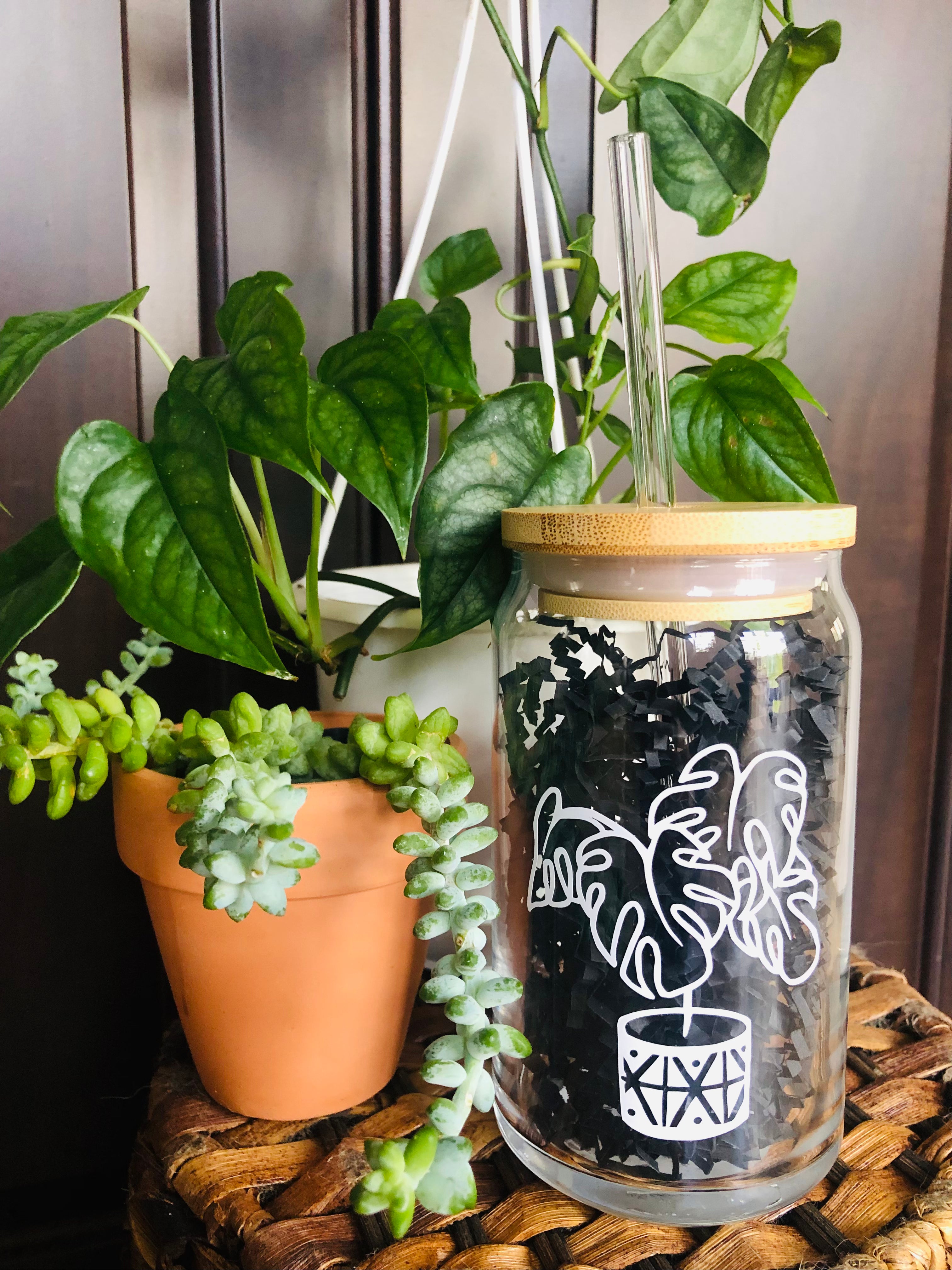 Potted Monstera Beer Can Glass