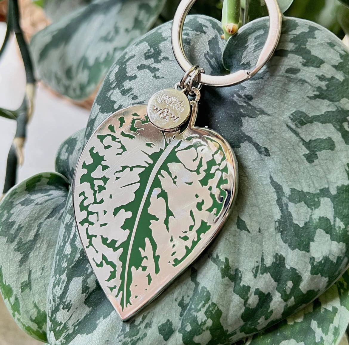 Scindapsus Pictus 'Exotica' Leaf houseplant keychain