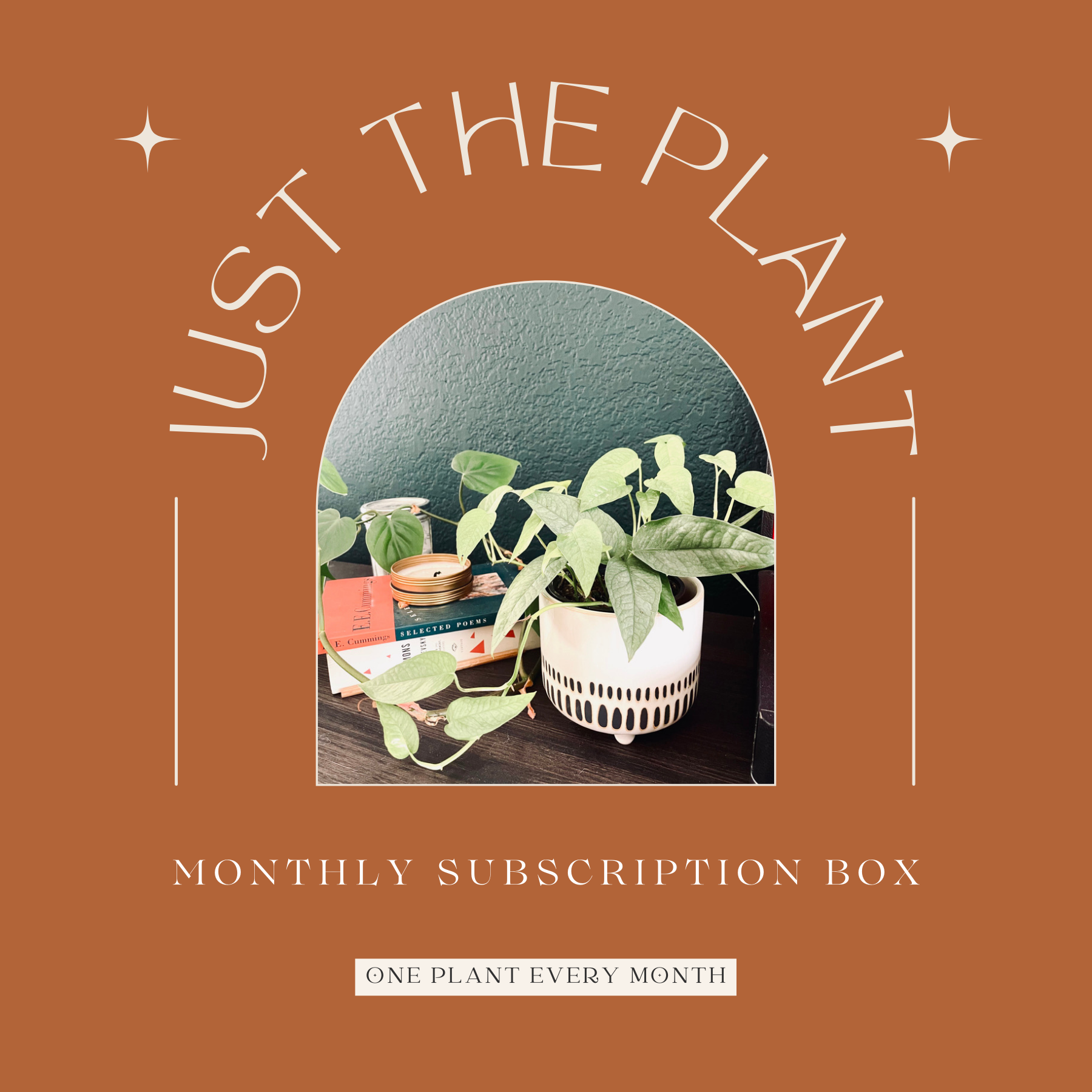 monthly indoor plant subscription Just The Plant' Subscription