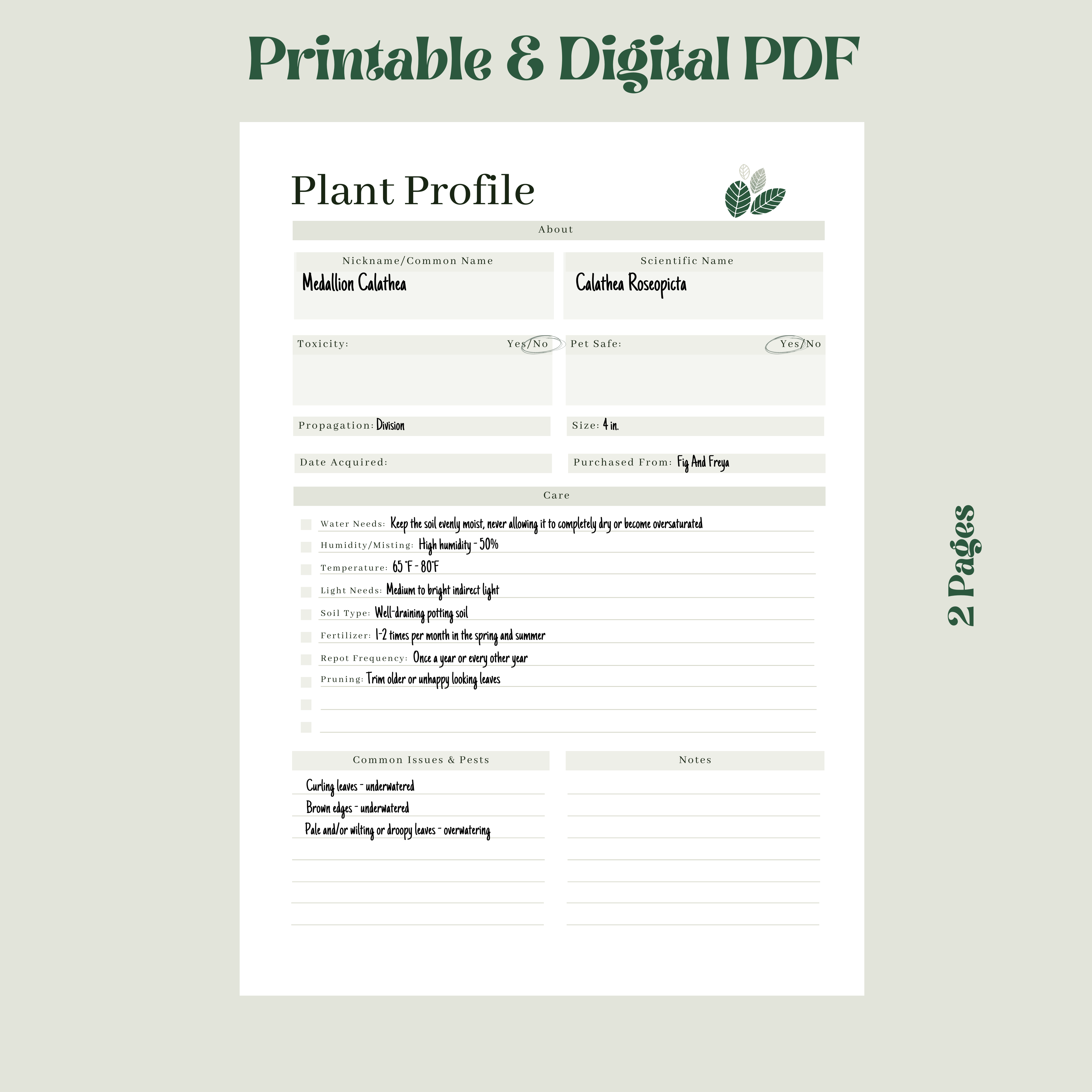 Plant Care Guides Digital Download | A4 | A5 | US Letter