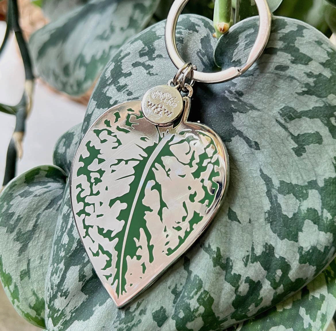 Scindapsus Pictus 'Exotica' Leaf houseplant keychain