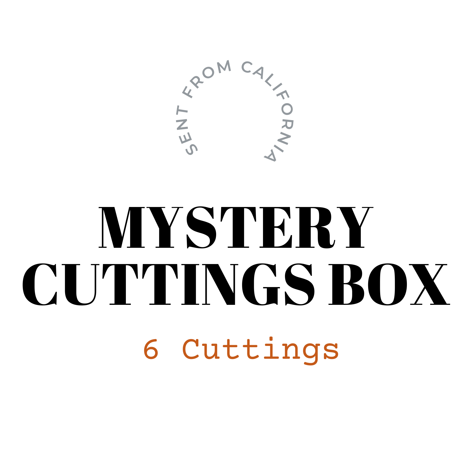 Mystery Cuttings Box